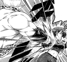 Medaka vs. Iihiko