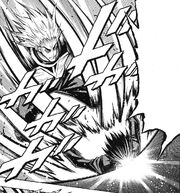 Firm Destruction