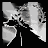 Wolf Companion icon