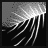 Blast Wave icon