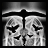 Night Hawks icon
