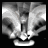 Spirit Walk icon