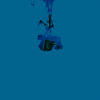 Ravenclaw