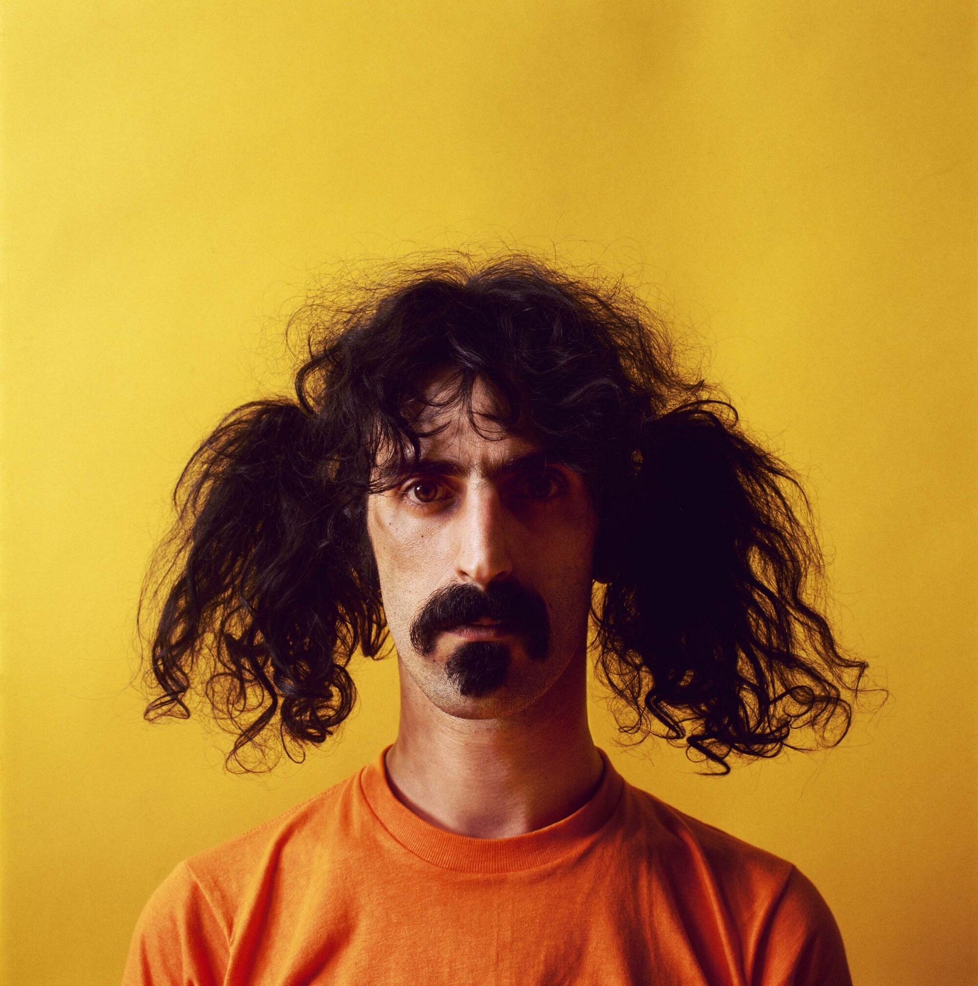 Frank Zappa レコード LP アナログ 3点セット フランク・ザッパ