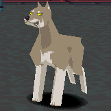 MMLDog