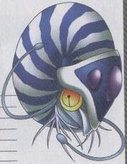 Nautilus