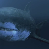 mego shark