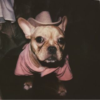 Peanut Melanie Martinez Wiki Fandom