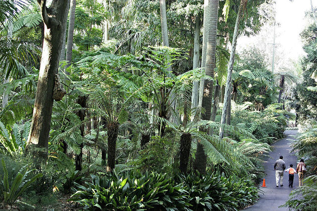 File:Royal Botanic Gardens.jpeg