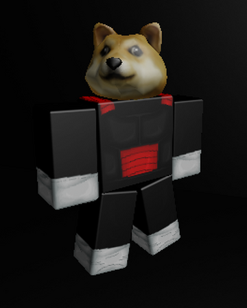 Unknown Doge Meme Sphere Y Wiki Fandom
