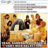 Google Search Errors Teh Meme Wiki Fandom
