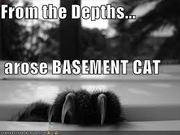 Basement Cat | Teh Meme Wiki | FANDOM powered by Wikia