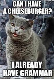 Goodgammarlolcat