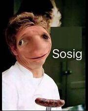 Sosig