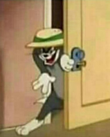 Meme Tom Memepedia Wiki Fandom