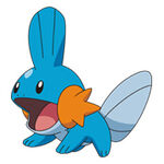 Mudkip