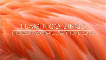 Flamingo Earthworm Sally Song