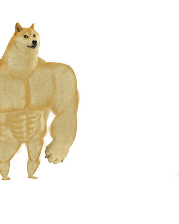 Buff Doge 與cheems 迷因wiki Fandom