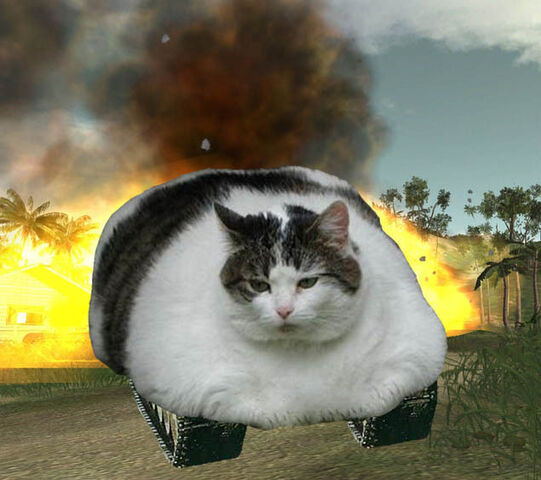 File:Treadcat.jpg