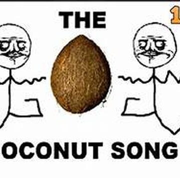 The Coconut Song Teh Meme Wiki Fandom
