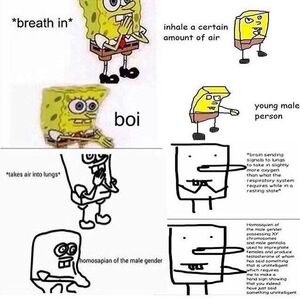 Verbose Memes Teh Meme Wiki Fandom