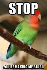 Birdmeme