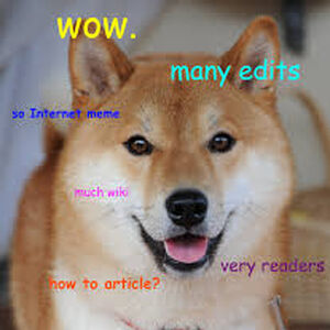 Doge Image Gallery Teh Meme Wiki Fandom