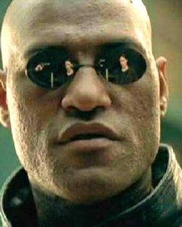 What If I Told You Teh Meme Wiki Fandom
