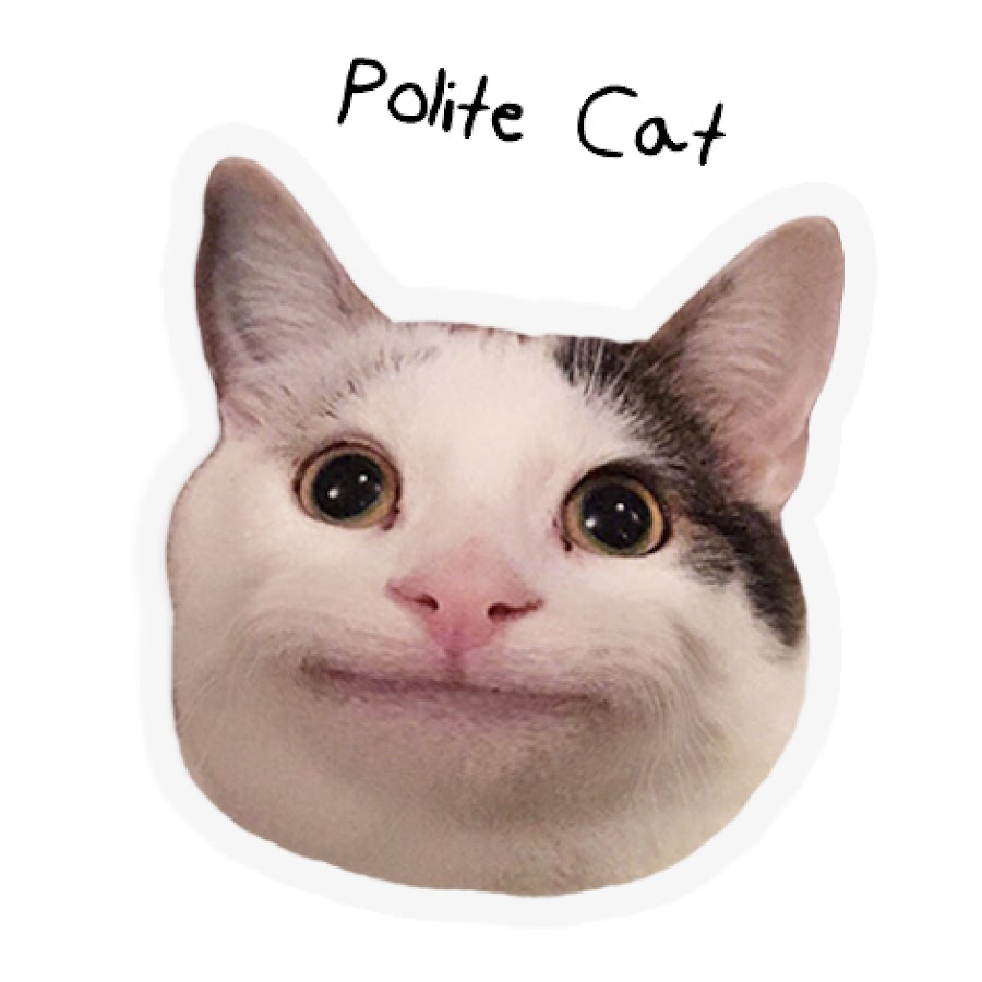 Polite Cat | Teh Meme Wiki | Fandom