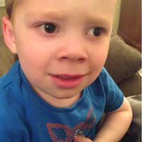Gavin Wiki Memes Pedia Fandom
