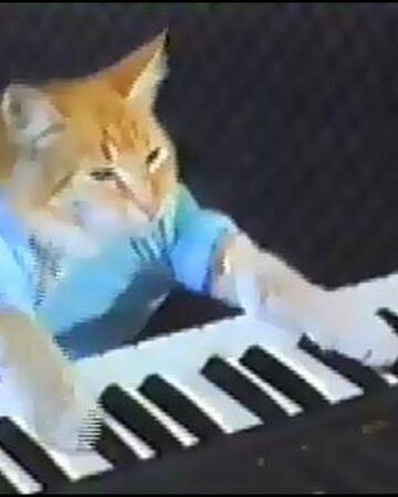 Keyboard Cat Wiki Memes Pedia Fandom