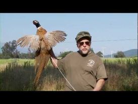 Chuck Testa