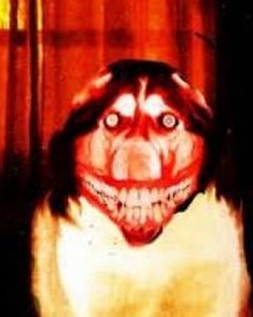 Smile Dog Wiki Memes Pedia Fandom