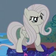 Flutterbitch