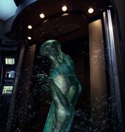 Multiphasic chamber with lifeform