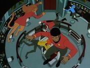 Zero g bridge