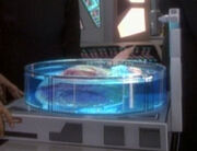 Biological sample container