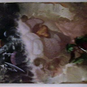 Painting Memory Alpha Fandom