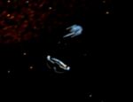 Oberth class, first contact