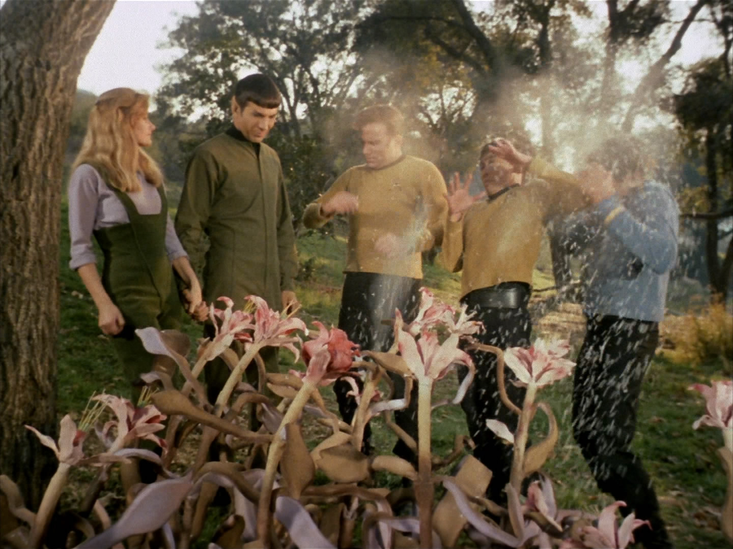 Pod plant Memory Alpha FANDOM powered by Wikia