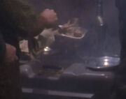 Cooking plate