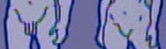 Human genitals