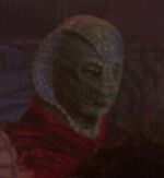 Selay at Bonestell