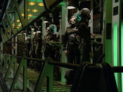 Borg drones 2365