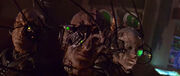 Borg trio