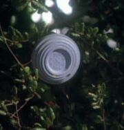 Clay mark