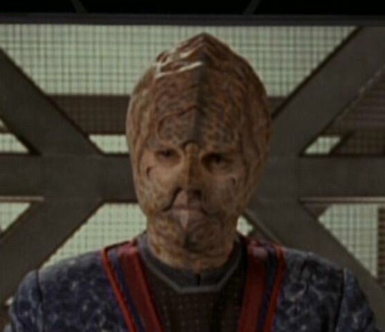 File:Kellan.jpg