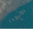 Ship fleet in 2258