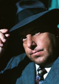 Stevenschirripa
