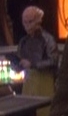 Dopterian waiter 2373